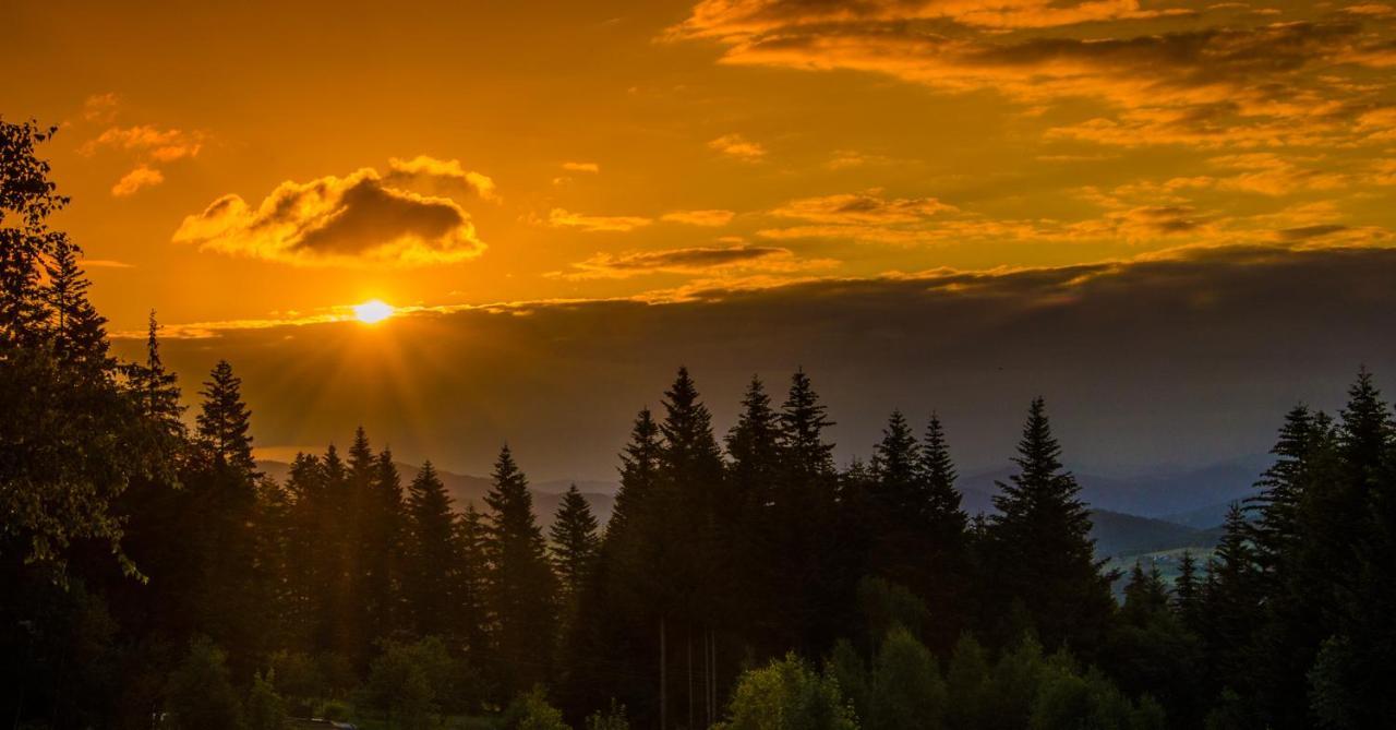 Domki W Pewelce Villa Pewelka Bagian luar foto