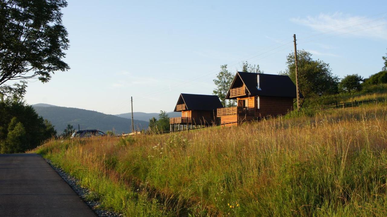 Domki W Pewelce Villa Pewelka Bagian luar foto